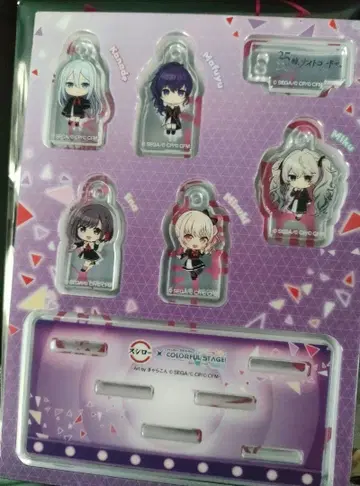 프로세카 스시로 유닛 참 콜라보 한정판 니고