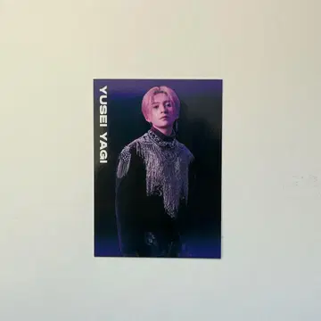 야기 유세이 TOTG 트레이딩 카드