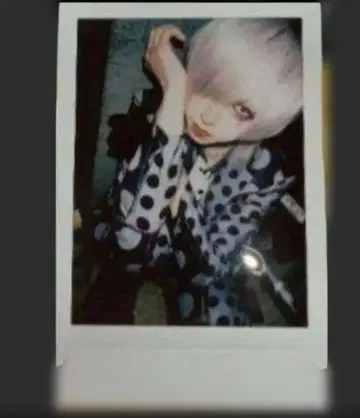 자아자아 영야 우산이 없어 폴라로이드 외