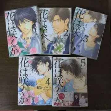 꽃은 필까 전권 세트 히다카 쇼코