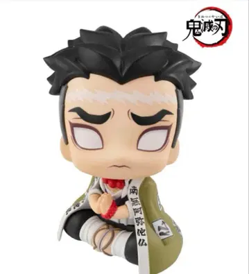 미개봉 새상품 귀멸의 칼날 히메지마 교메이 룩업