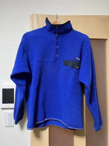 patagonia Synchilla 스냅T