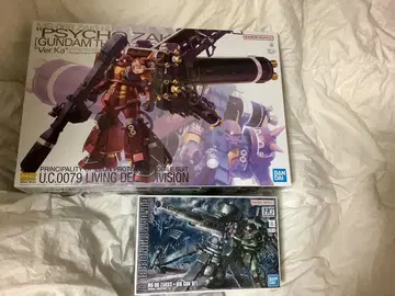 MG 고기동형 자쿠 사이코 자쿠Ver.Ka & HG 양산형 자쿠+빅 건