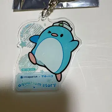 푸른상자 수족관 케이프군 키링