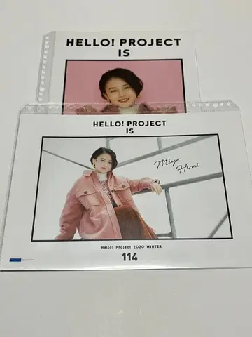 [ 히라이 미요 2종 ] 하로프로 2020 겨울 핑포스