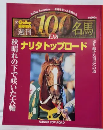 Gallop 임시 증간 주간 100명마 EX.6 나리타 탑로드 외
