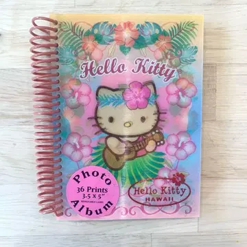 키티 하와이 갱스터 키티 사진 앨범