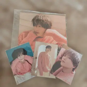 쭉쭉 애프터 재킷 야기 유세이