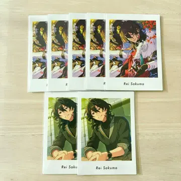 사쿠마 레이 파샤츠 vol.6