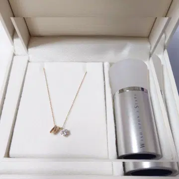 WISH UPON A STAR 골드 목걸이