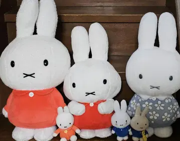 미피 봉제 인형 6체 세트