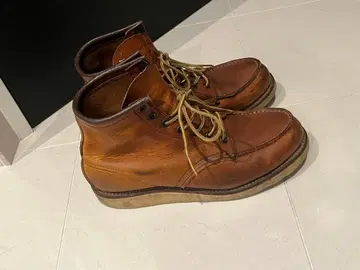 REDWING 아이리쉬 세터 1990년 후기 875 세로 깃털 택