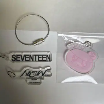SEVENTEEN 세븐틴 New DIY 키 참 봉봉이