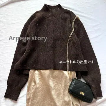 Arpege story 스팽글 숏 니트 브라운 알페쥬