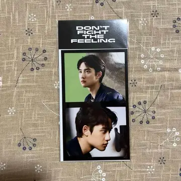 DON'T FIGHT THE FEELING 필름 세트 경수