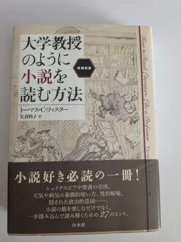 대학 교수처럼 소설 읽는 법 증보신판