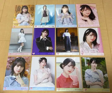 =LOVE 이코라부 사사키 마이카 브로마이드 묶음 판매