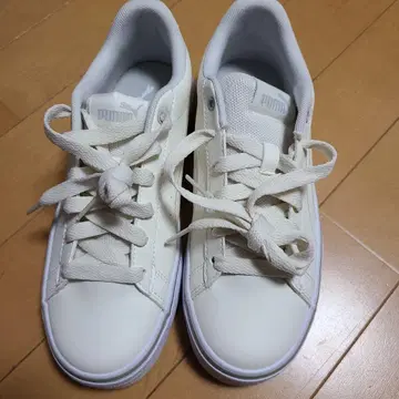 [ 새상품 ] PUMA 베이지 로우컷 스니커즈 22.5cm