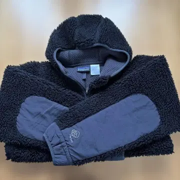 Patagonia 리듬 후디