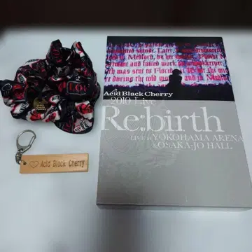 Acid Black Cherry/2010 Live'Re:birth' -