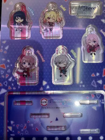 스시로 콜라보 프로세카