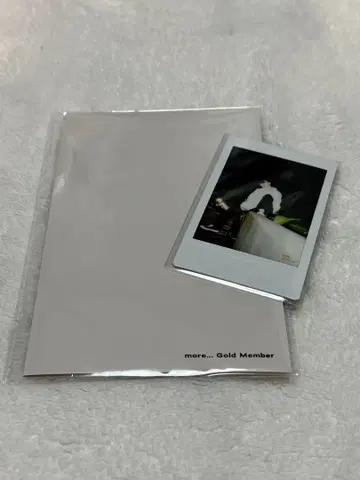 키쿠치 후마 FC more - 폴라로이드 트레이딩 카드 특전 세트