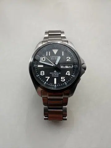 시티즌 프로마스터 랜드