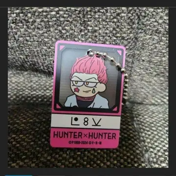 HUNTER x HUNTER 니테레야 지로리 히소카