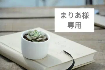 정가 2만 [새상품] PINUE 레이스 볼레로 & 드레스 세트 네이비