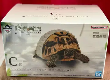 BANDAI Tiny Friends vol.2 헤르만 육지거북 C상