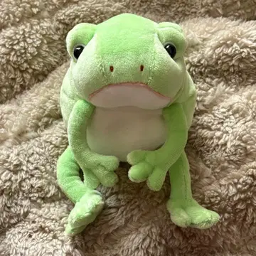 몬수이유 보노 라이트 그린