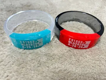 앙스타 스타스테 뱅글라이트 Ra*bits 유성대