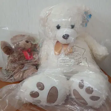 [12/14까지] TEDDY BEAR 2점 화이트 테디베어 백팩