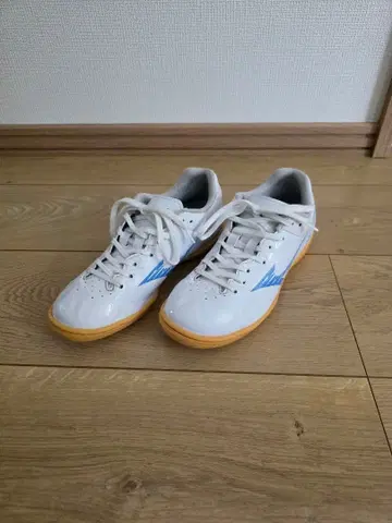 미즈노 풋살화 22.0cm