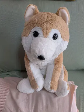 축 늘어진 시바견 봉제 인형