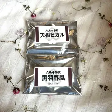 테니스의 왕자님 육각중 흑우춘풍 천근히카루 명찰