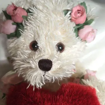 MIMMI BEAR 화이트 복슬복슬 곰돌이