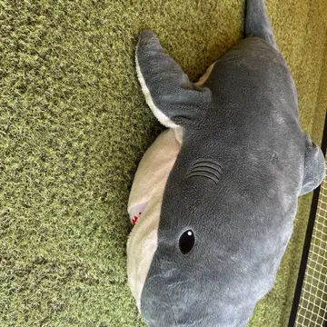 AYMANI 샤크 봉제 인형