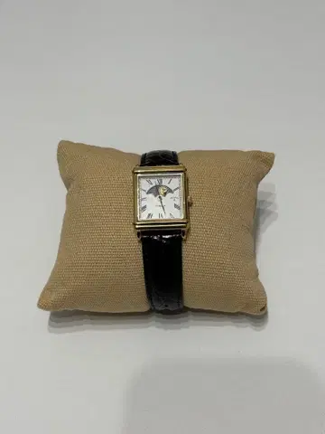 noah timex sun and moon watch