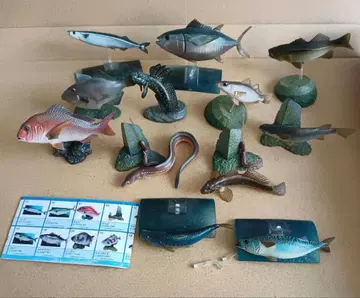 물고기 피규어 세트 12개
