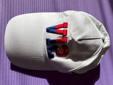 골프 캡 V TWELVE V12