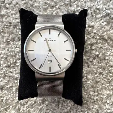 SKAGEN 스카겐 손목시계 351LSSCM 실버 배터리 방전