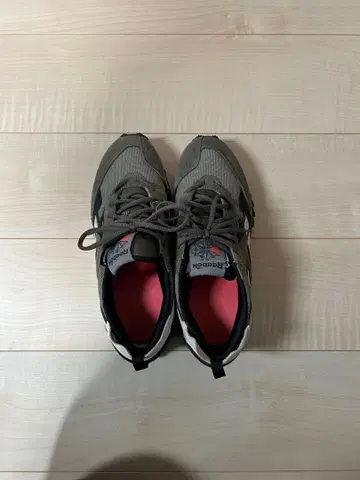 LX2200 (아미그린) 27cm