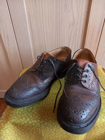 NEPENTHES x TRICKER'S 멀티톤 슈즈 26.5