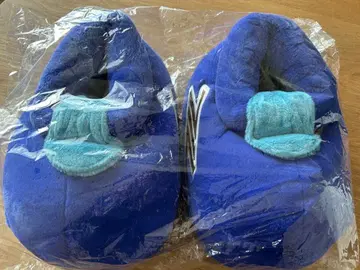 젤비의 신발 룸슈즈