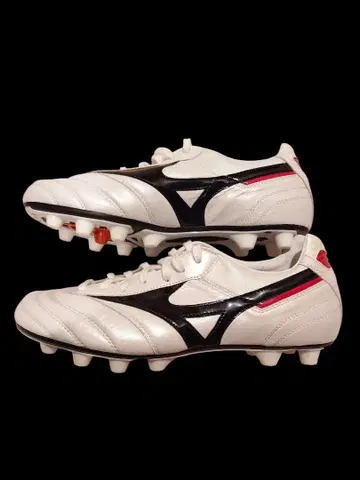 MORELIA Anatomical Fit 26.0 모렐리아