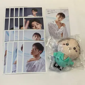 초특급 아로하 생탄 브로마이드 미니 아로하