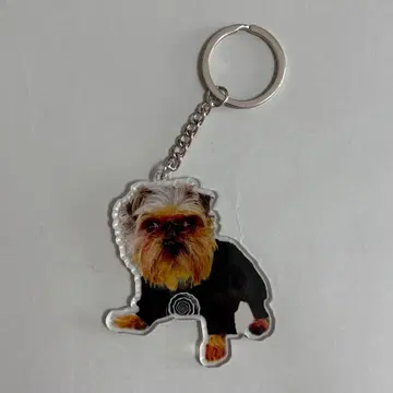 PUN쨩 아크릴 키링