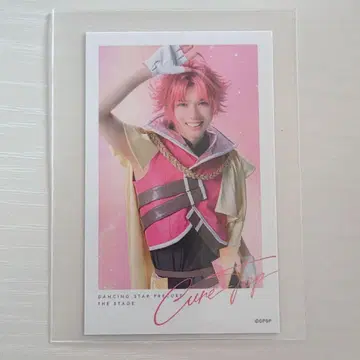 보쿠프리 큐어 탑 타무라 쇼고