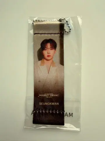 SEVENTEEN 라이트 히어 SEUNGKWAN 플래그 키링